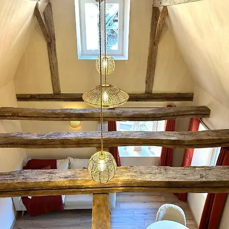Maison Le Nid Des Cigognes Balneotherapie Pour 2 Oberbronn